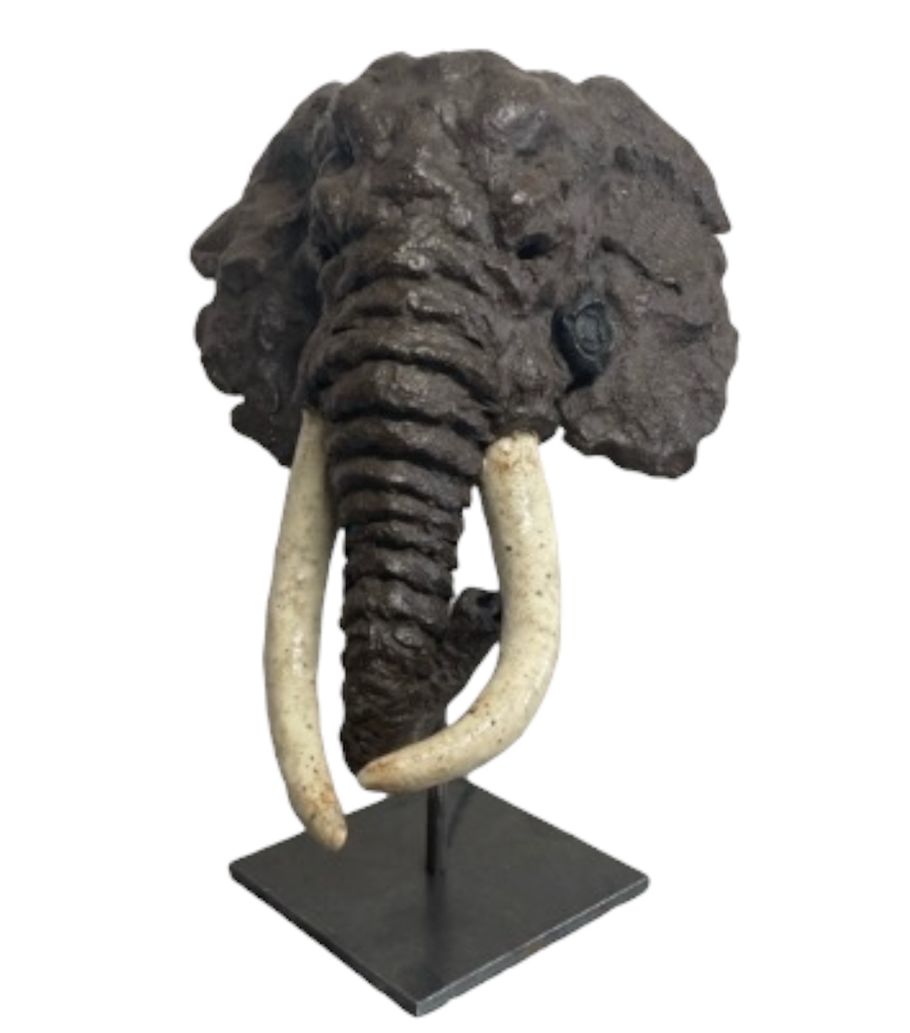 Tête d'éléphant – Image 3