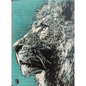 Lion "King"