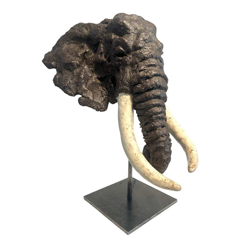 Tête d'éléphant – Image 2