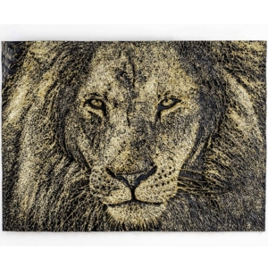 Lion II or