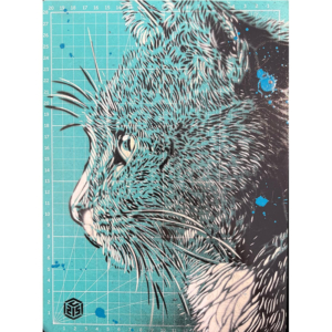 Chat "Meow"
