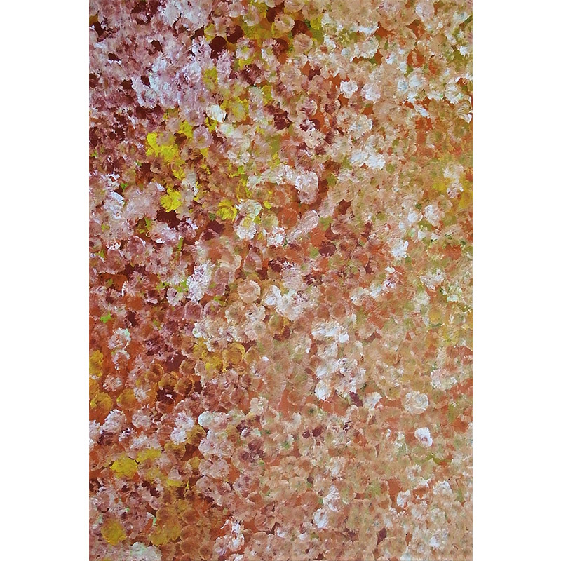 Bush plum dreaming par Polly Ngale